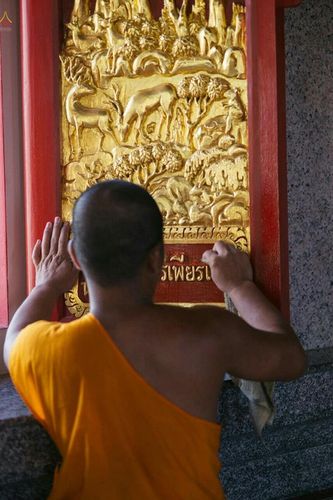 ภาพ No.22349:ธรรมยาตราฯ ปีที่ 5 วันอังคารที่ 19 มกราคม พ.ศ. 2559