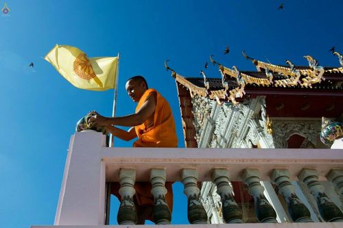 ภาพ No.22351:ธรรมยาตราฯ ปีที่ 5 วันอังคารที่ 19 มกราคม พ.ศ. 2559