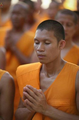 ภาพ No.22364:ธรรมยาตราฯ ปีที่ 5 วันพุธที่ 20 มกราคม พ.ศ. 2559