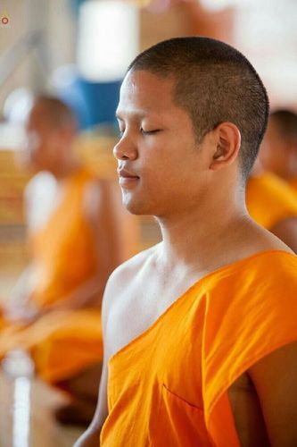 ภาพ No.22366:ธรรมยาตราฯ ปีที่ 5 วันพุธที่ 20 มกราคม พ.ศ. 2559