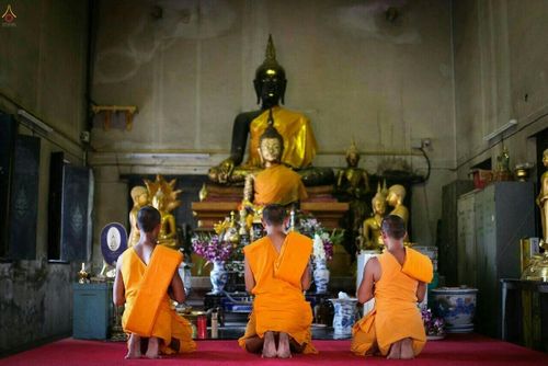 ภาพ No.22380:ธรรมยาตราฯ ปีที่ 5 วันพุธที่ 20 มกราคม พ.ศ. 2559