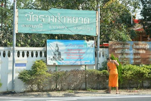 ภาพ No.22395:ธรรมยาตราฯ ปีที่ 5 วันพุธที่ 20 มกราคม พ.ศ. 2559