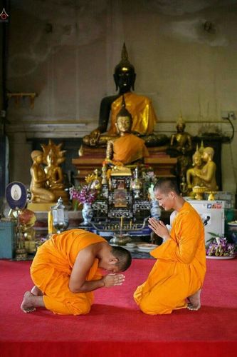 ภาพ No.22422:ธรรมยาตราฯ ปีที่ 5 วันพุธที่ 20 มกราคม พ.ศ. 2559