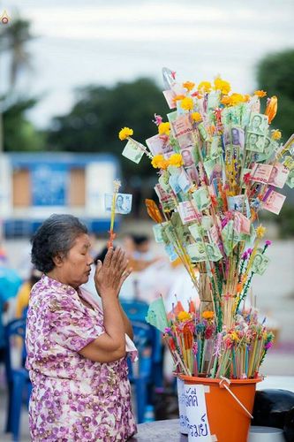 ภาพ No.22479:ธรรมยาตราฯ ปีที่ 5 วันพุธที่ 20 มกราคม พ.ศ. 2559