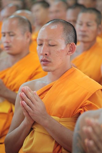 ภาพ No.22615:ธรรมยาตราฯ ปีที่ 5 วันพฤหัสบดีที่ 21 มกราคม พ.ศ. 2559