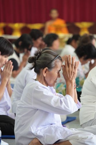 ภาพ No.22627:ธรรมยาตราฯ ปีที่ 5 วันพฤหัสบดีที่ 21 มกราคม พ.ศ. 2559