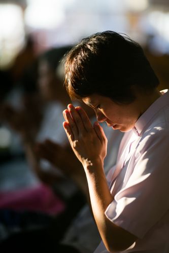 ภาพ No.22673:ธรรมยาตราฯ ปีที่ 5 วันพฤหัสบดีที่ 21 มกราคม พ.ศ. 2559