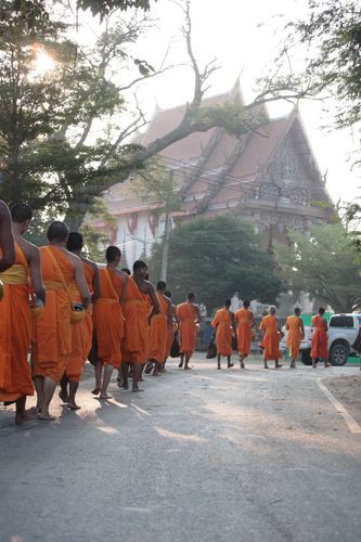 ภาพ No.22731:ธรรมยาตราฯ ปีที่ 5 วันพฤหัสบดีที่ 21 มกราคม พ.ศ. 2559