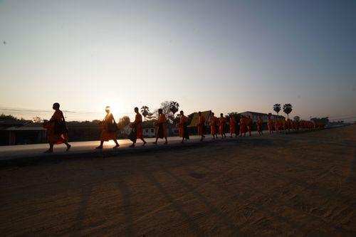 ภาพ No.22735:ธรรมยาตราฯ ปีที่ 5 วันพฤหัสบดีที่ 21 มกราคม พ.ศ. 2559