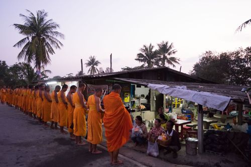 ภาพ No.22743:ธรรมยาตราฯ ปีที่ 5 วันพฤหัสบดีที่ 21 มกราคม พ.ศ. 2559