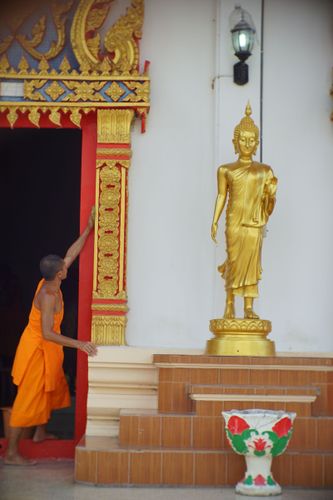 ภาพ No.22828:ธรรมยาตราฯ ปีที่ 5 วันพฤหัสบดีที่ 21 มกราคม พ.ศ. 2559