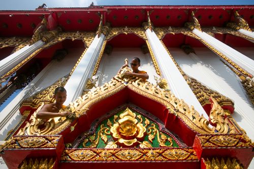 ภาพ No.22870:ธรรมยาตราฯ ปีที่ 5 วันพฤหัสบดีที่ 21 มกราคม พ.ศ. 2559