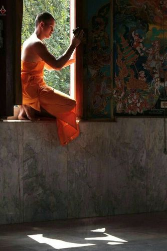 ภาพ No.22955:ธรรมยาตราฯ ปีที่ 5 วันศุกร์ที่ 22 มกราคม พ.ศ. 2559