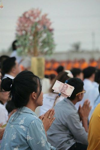 ภาพ No.22993:ธรรมยาตราฯ ปีที่ 5 วันอาทิตย์ที่ 24 มกราคม พ.ศ. 2559