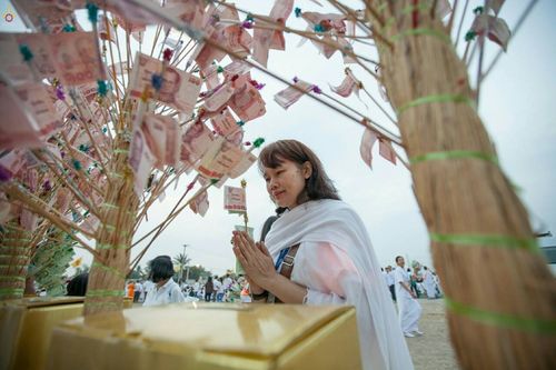 ภาพ No.23013:ธรรมยาตราฯ ปีที่ 5 วันอาทิตย์ที่ 24 มกราคม พ.ศ. 2559