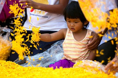 ภาพ No.23043:ธรรมยาตราฯ ปีที่ 5 วันอาทิตย์ที่ 24 มกราคม พ.ศ. 2559