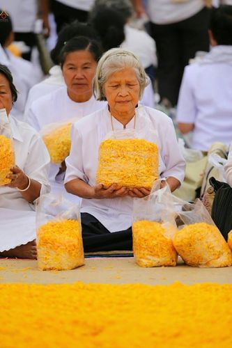 ภาพ No.23036:ธรรมยาตราฯ ปีที่ 5 วันอาทิตย์ที่ 24 มกราคม พ.ศ. 2559