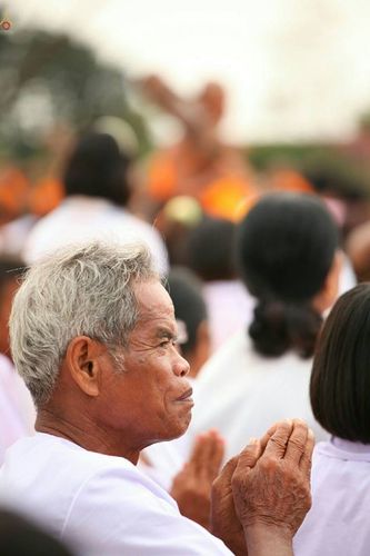 ภาพ No.23072:ธรรมยาตราฯ ปีที่ 5 วันอาทิตย์ที่ 24 มกราคม พ.ศ. 2559