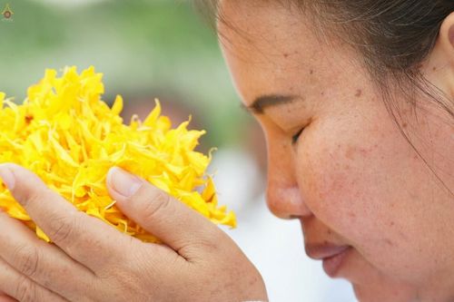 ภาพ No.23080:ธรรมยาตราฯ ปีที่ 5 วันอาทิตย์ที่ 24 มกราคม พ.ศ. 2559