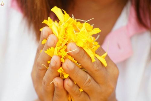 ภาพ No.23102:ธรรมยาตราฯ ปีที่ 5 วันอาทิตย์ที่ 24 มกราคม พ.ศ. 2559