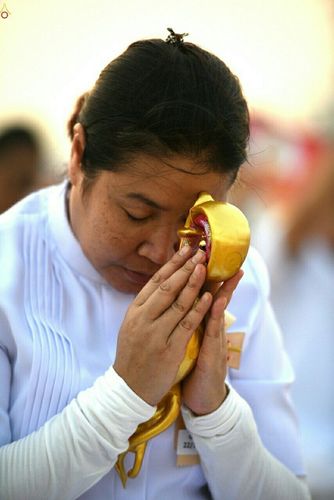 ภาพ No.23135:พิธีตอกเสาเข็มมงคล "มหาสุวรรณรัตนอินทขิล" สถาปนาสร้างอนุสรณ์สถาน มหาวิหารพระมงคลเทพมุนี สถานที่เผยแผ่ธรรมครั้งแรก ที่วัดบางปลา