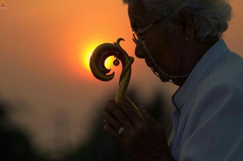 ภาพ No.23187:พิธีตอกเสาเข็มมงคล "มหาสุวรรณรัตนอินทขิล" สถาปนาสร้างอนุสรณ์สถาน มหาวิหารพระมงคลเทพมุนี สถานที่เผยแผ่ธรรมครั้งแรก ที่วัดบางปลา