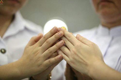 ภาพ No.23238:ประมวลภาพวันคุ้มครองโลก 22 เมษายน 2559 ณ วัดพระธรรมกาย