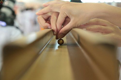 ภาพ No.23241:ประมวลภาพวันคุ้มครองโลก 22 เมษายน 2559 ณ วัดพระธรรมกาย