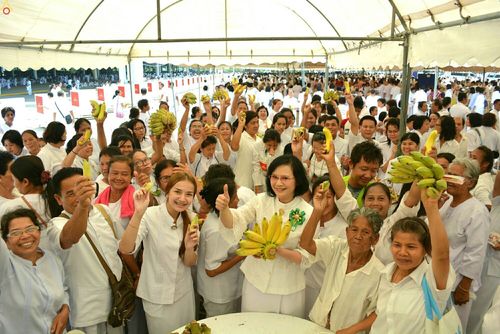 ภาพ No.23305:ประมวลภาพวันคุ้มครองโลก 22 เมษายน 2559 ณ วัดพระธรรมกาย