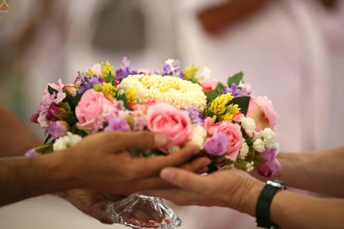 ภาพ No.23315:ประมวลภาพวันคุ้มครองโลก 22 เมษายน 2559 ณ วัดพระธรรมกาย