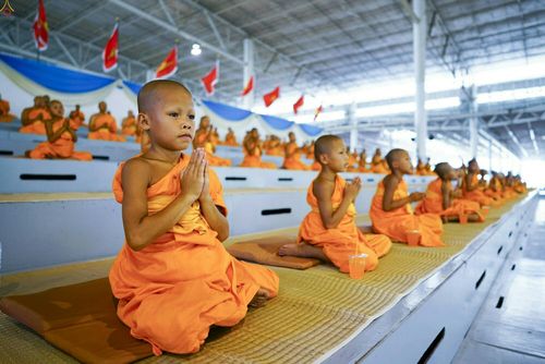 ภาพ No.23320:ประมวลภาพวันคุ้มครองโลก 22 เมษายน 2559 ณ วัดพระธรรมกาย