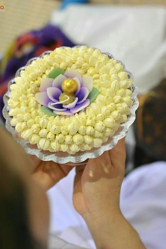 ภาพ No.23330:ประมวลภาพวันคุ้มครองโลก 22 เมษายน 2559 ณ วัดพระธรรมกาย