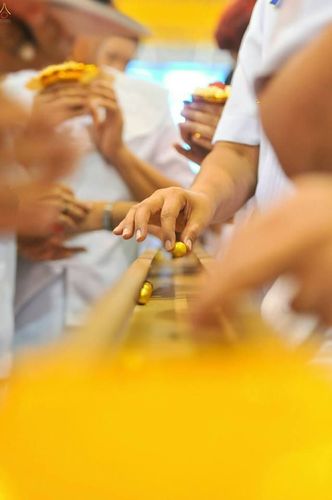 ภาพ No.23338:ประมวลภาพวันคุ้มครองโลก 22 เมษายน 2559 ณ วัดพระธรรมกาย