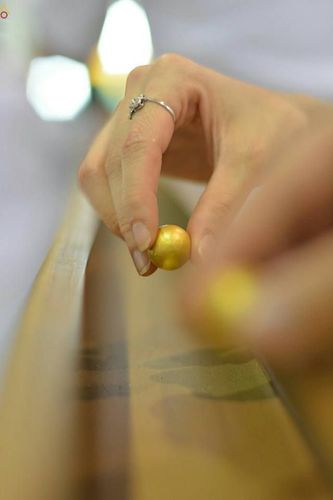 ภาพ No.23340:ประมวลภาพวันคุ้มครองโลก 22 เมษายน 2559 ณ วัดพระธรรมกาย