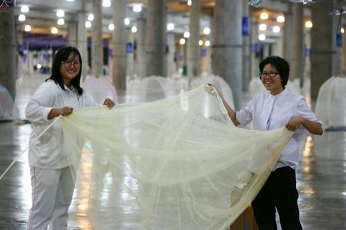 ภาพ No.23438:ประมวลภาพโครงการบวชผู้นำอุบาสิกาแก้ว 1 ล้านคนกตัญญูบูชา เนื่องในวันวิสาขบูชา