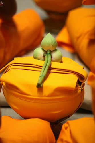 ภาพ No.23858:ประมวลภาพวันวิสาขบูชา 2559 ณ วัดพระธรรมกาย จ.ปทุมธานี