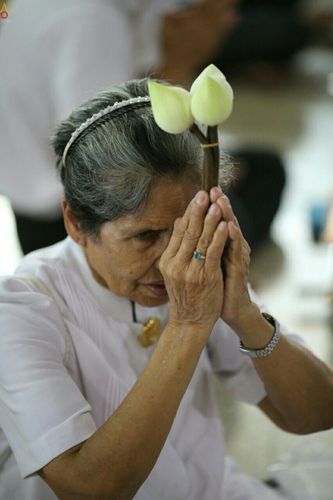 ภาพ No.23883:ประมวลภาพวันวิสาขบูชา 2559 ณ วัดพระธรรมกาย จ.ปทุมธานี