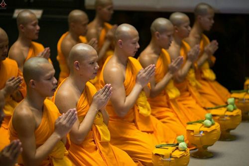 ภาพ No.23930:ประมวลภาพวันวิสาขบูชา 2559 ณ วัดพระธรรมกาย จ.ปทุมธานี