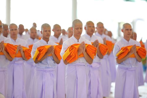 ภาพ No.37981:พิธีบรรพชาอุปสมบทหมู่