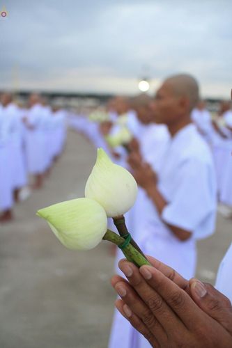 ภาพ No.24401:พิธีบรรพชาอุปสมบทหมู่ธรรมทายาท รุ่นเข้าพรรษา ปี 2559