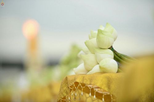 ภาพ No.24468:พิธีบรรพชาอุปสมบทหมู่ธรรมทายาท รุ่นเข้าพรรษา ปี 2559