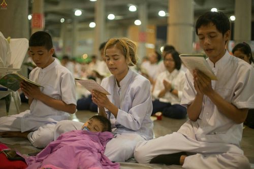 ภาพ No.24520:วันอาสาฬหบูชา ประจำปี 2559 ณ วัดพระธรรมกาย