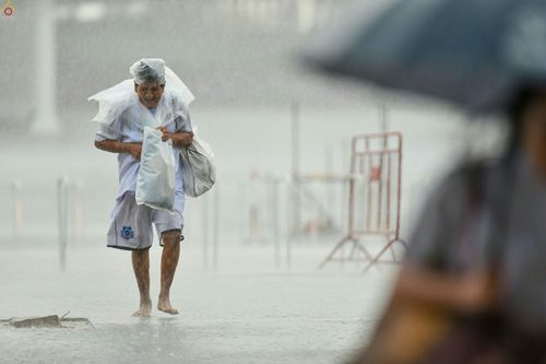 ภาพ No.24535:วันอาสาฬหบูชา ประจำปี 2559 ณ วัดพระธรรมกาย