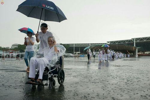 ภาพ No.24550:วันอาสาฬหบูชา ประจำปี 2559 ณ วัดพระธรรมกาย