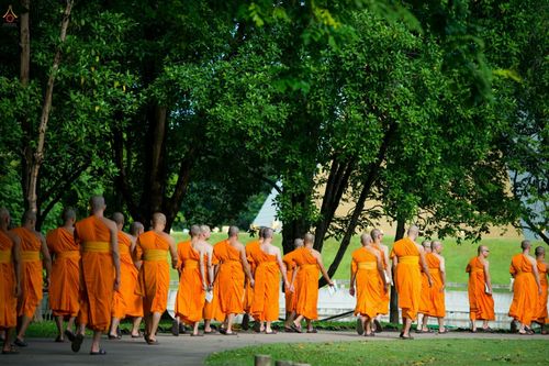 ภาพ No.24555:วันอาสาฬหบูชา ประจำปี 2559 ณ วัดพระธรรมกาย