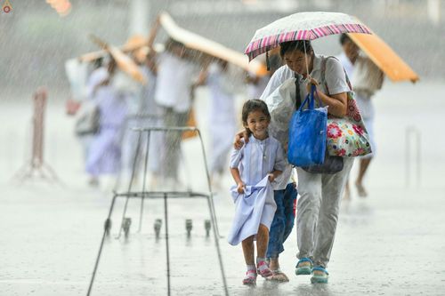 ภาพ No.24596:วันอาสาฬหบูชา ประจำปี 2559 ณ วัดพระธรรมกาย
