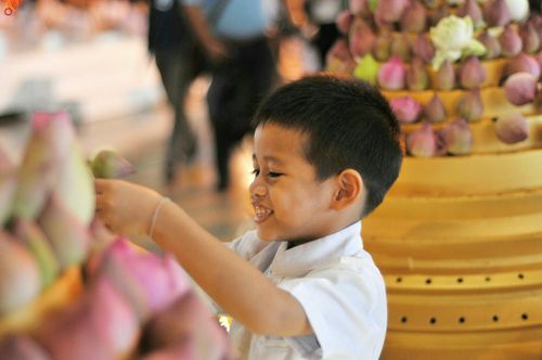 ภาพ No.24609:วันอาสาฬหบูชา ประจำปี 2559 ณ วัดพระธรรมกาย