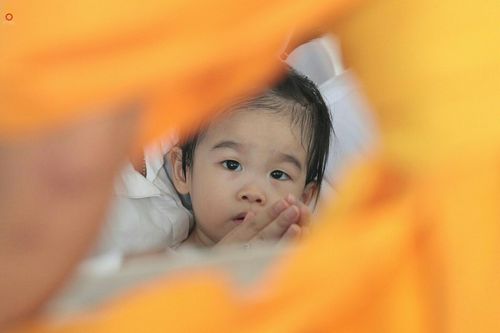 ภาพ No.24644:วันอาสาฬหบูชา ประจำปี 2559 ณ วัดพระธรรมกาย