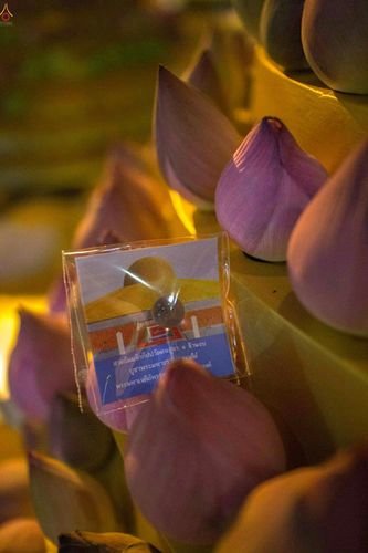 ภาพ No.24663:วันอาสาฬหบูชา ประจำปี 2559 ณ วัดพระธรรมกาย