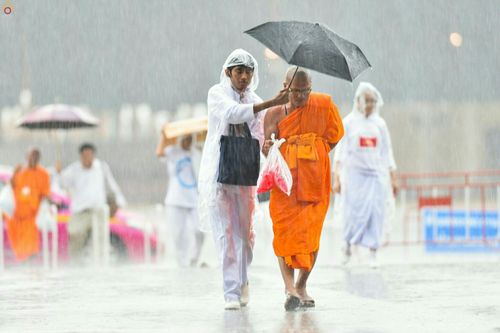 ภาพ No.24736:วันอาสาฬหบูชา ประจำปี 2559 ณ วัดพระธรรมกาย